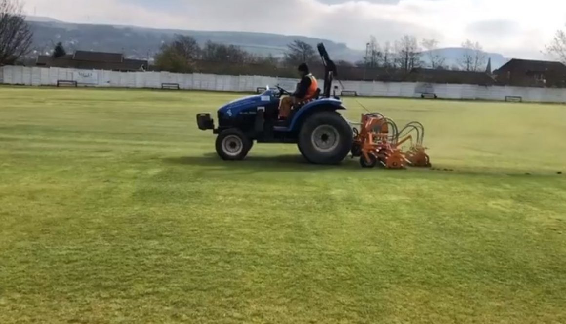 re-seeded cricket pitch