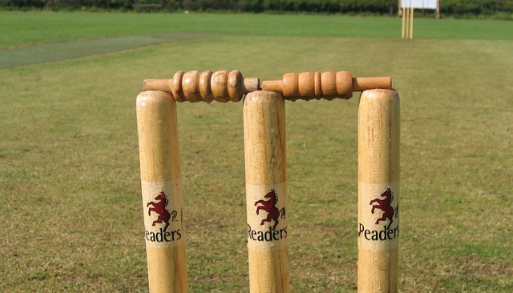 cricket stumps