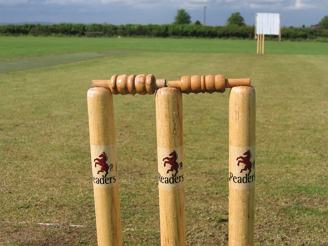 cricket stumps